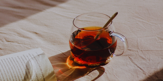 夏から秋へ  からだを整える移行の習慣  Wellness in Seasonal Transitions