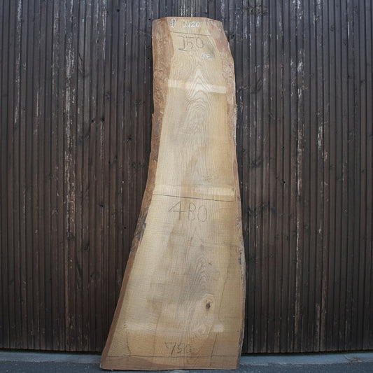 タモ／アッシュ